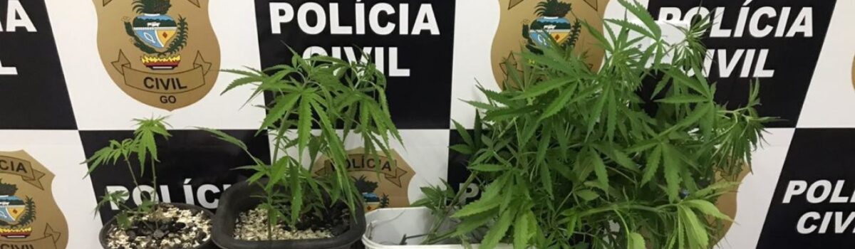 Polícia Civil apreende adolescente com drogas e Munições em Morrinhos