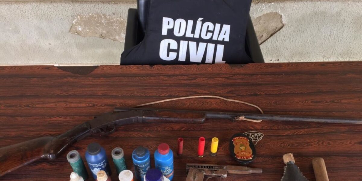Polícia Civil apreende armas de fogo em Palmelo e prende suspeito