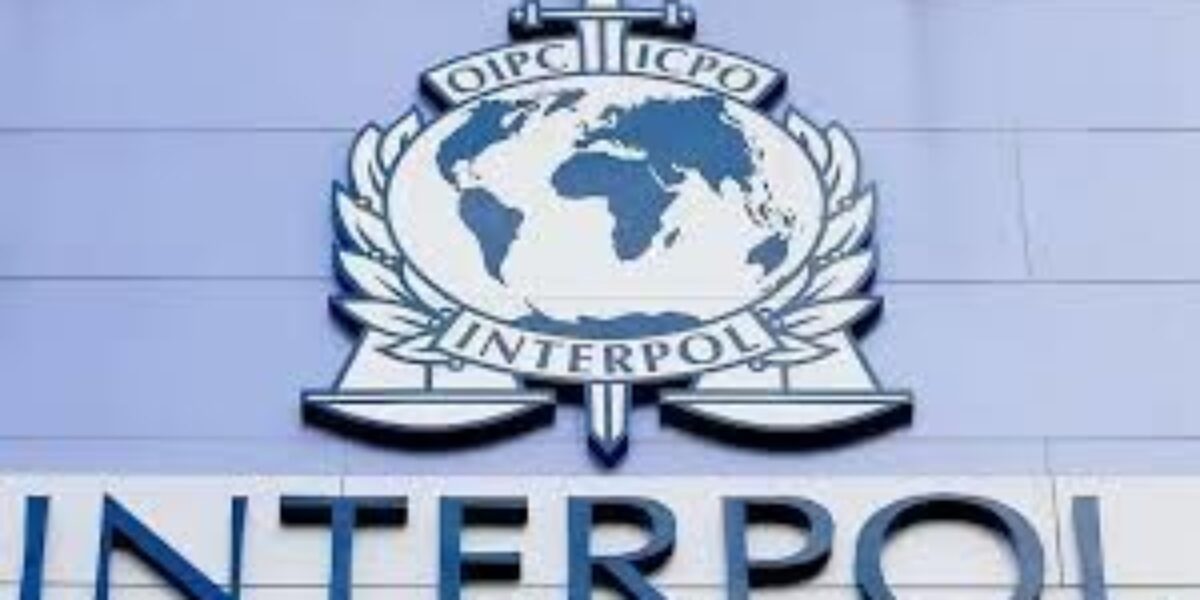 Cursos Oferecidos pela Organização Internacional de Polícia Criminal – INTERPOL