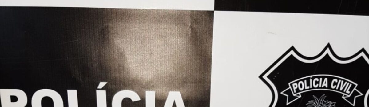 Polícia Civil prende investigado por posse ilegal de arma de fogo em Catalão