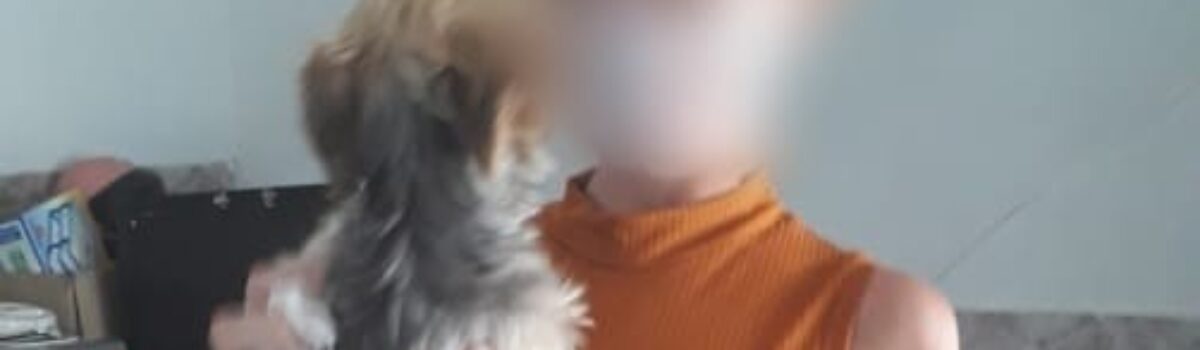 Polícia Civil recupera cachorro furtado em Aparecida de Goiânia