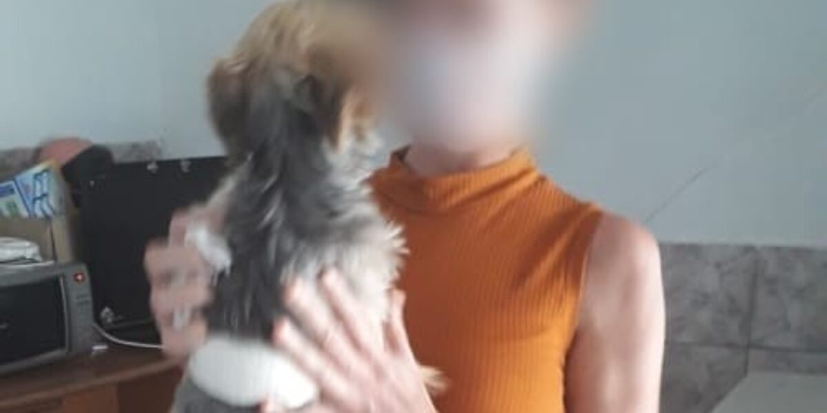 Polícia Civil recupera cachorro furtado em Aparecida de Goiânia