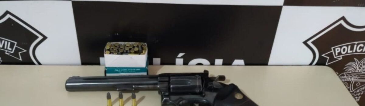 DP de São Simão prende suspeito por posse de arma irregular