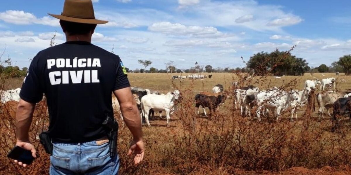 DP de Piracanjuba prende autor de vários furtos de gado na região