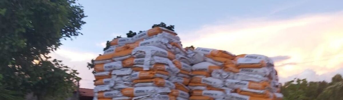 Polícia Civil e Polícia Militar recuperam carga furtada de milho híbrido avaliada em R$ 250 mil