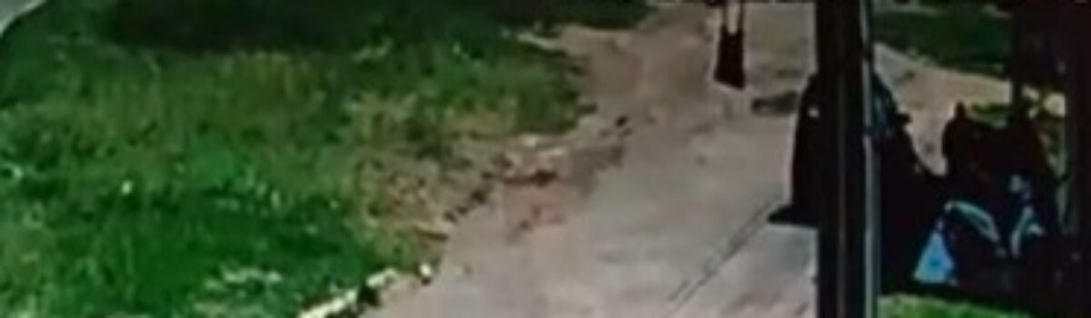 Polícia Civil recupera bicicleta furtada em Alvorada do Norte; autor foi preso