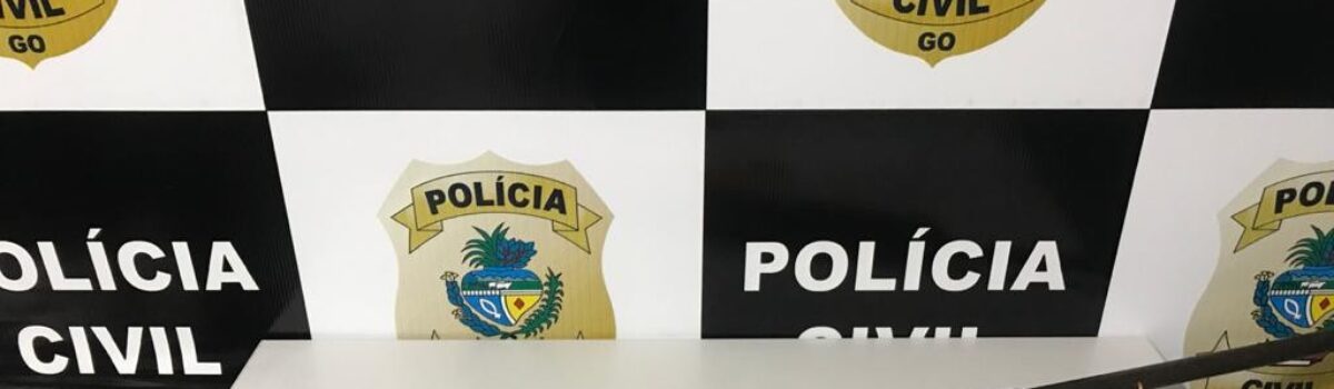 Homem é preso em Pontalina por posse irregular de arma de fogo