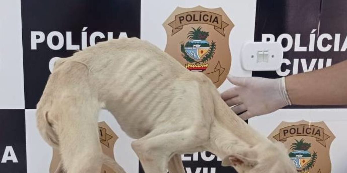 Polícia Civil resgata cachorro em situação de maus-tratos em Morrinhos