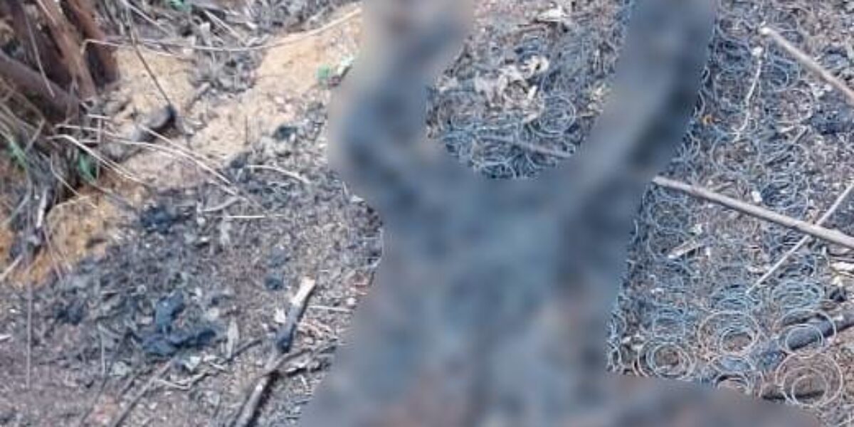 GIH de Valparaíso prende suspeito de homicídio contra rapaz que estava desaparecido