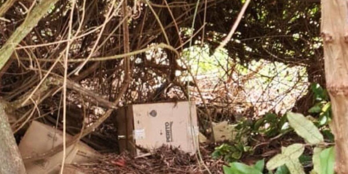 Polícia Civil recupera defensivos agrícolas furtados em Goiatuba