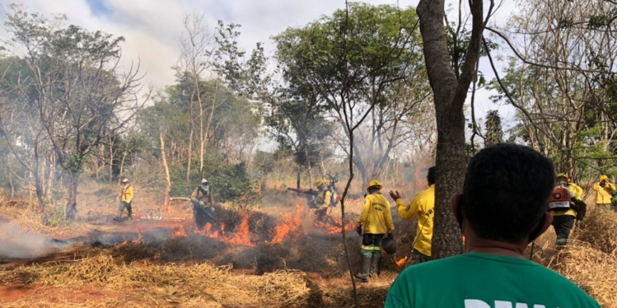 Dema participa de demonstração de controle de fogo realizada pelo Ibama