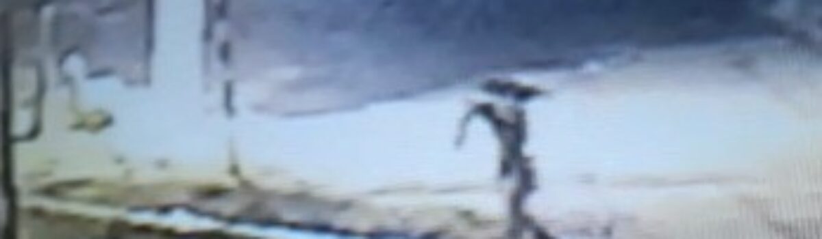 PCGO prende autor de furto qualificado a padaria de Goiandira