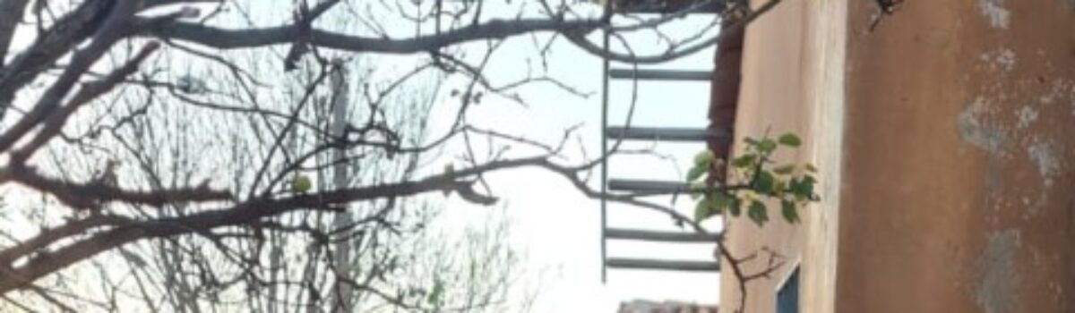 Operação Fragmentado: Genarc cumpre 18 mandados judiciais contra o tráfico de drogas em Goianésia