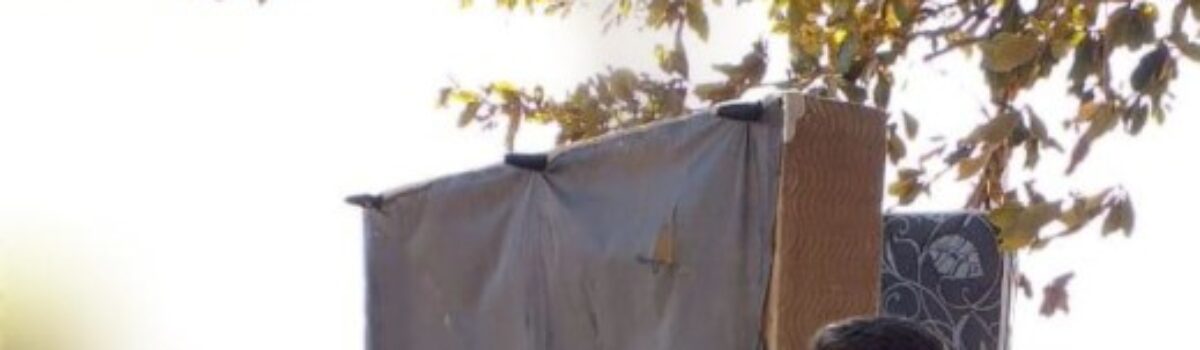 PC apreende arma de fogo irregular durante escolta a mulher vítima de violência doméstica em Campinorte