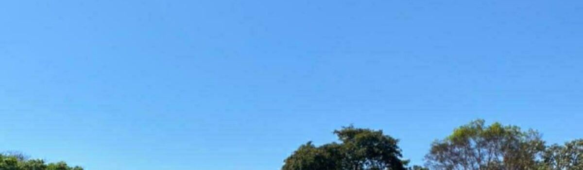 PCGO recupera gado furtado em fazenda de Minaçu; autores de furto e receptação foram indiciados