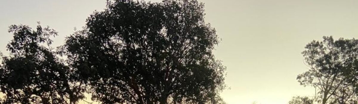 Polícia Civil autua organizadores por promoverem festa com aglomeração em Uruaçu