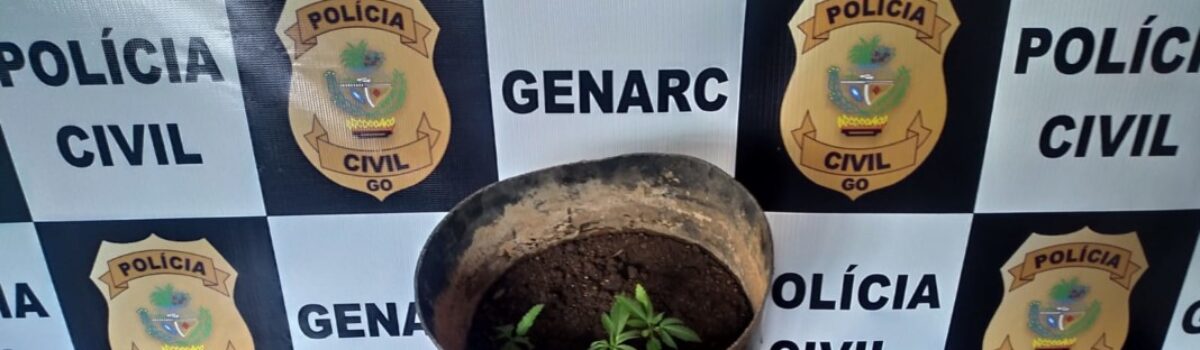 Operação Acalanto: PCGO prende suspeito de tráfico de drogas em Niquelândia; autor usava tornozeleira eletrônica