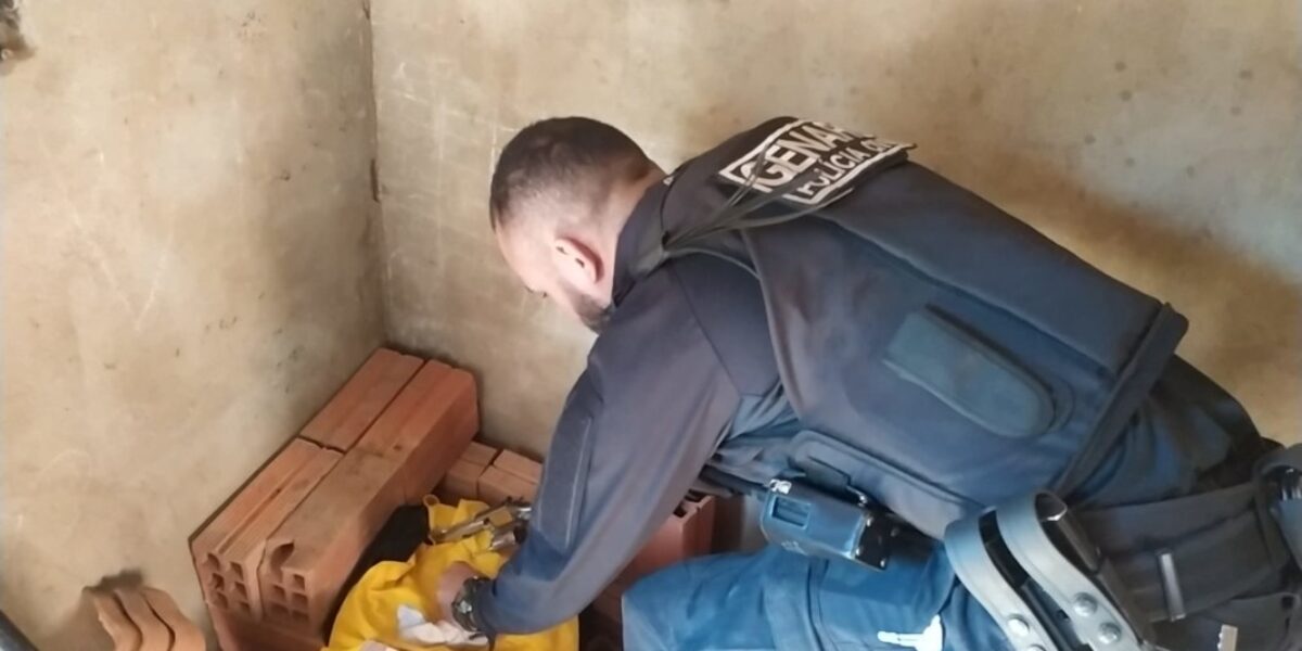 Operação Progressão: Genarc e DP de Niquelândia prendem investigado por posse de arma e tráfico