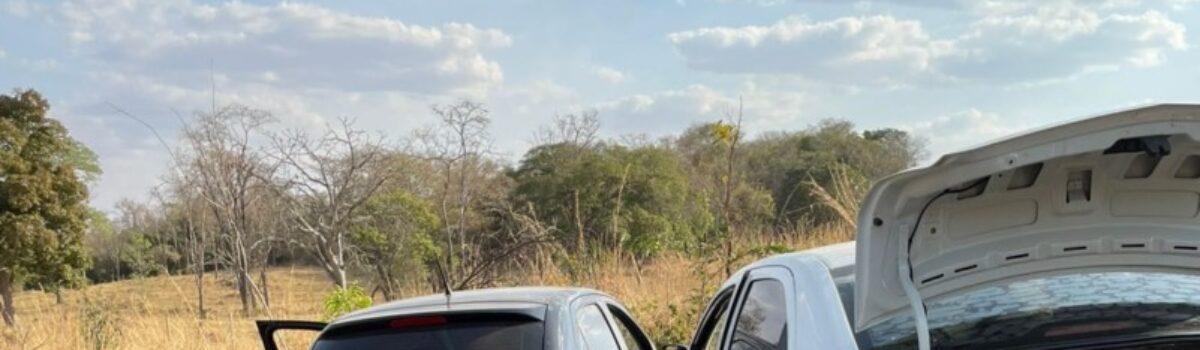 Carga de dez tabletes de maconha é interceptada entre Caldas Novas e Morrinhos