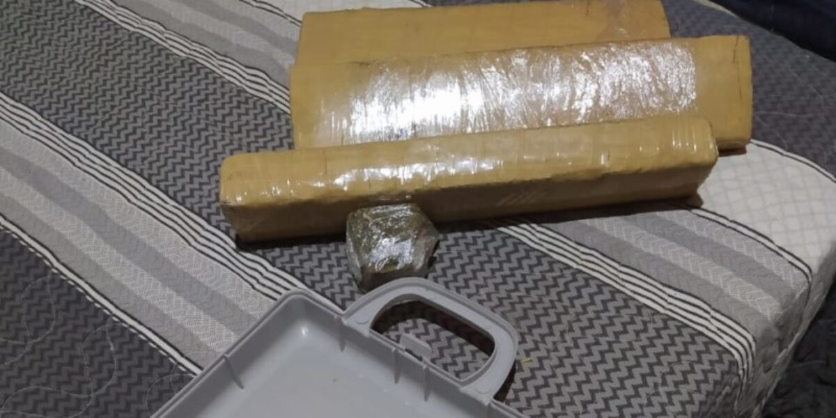 PC prende traficante que agia no nordeste de Goiás