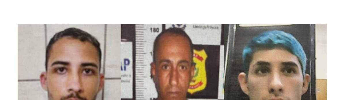 Trio de homens que furtou celulares em Jataí é indiciado