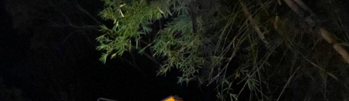 PC recupera em Vianópolis caminhão e plantadeira roubados na região de Itumbiara