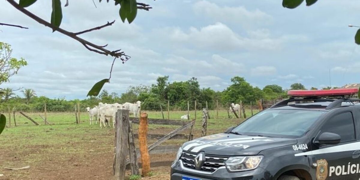 Animais roubados são recuperados pela PCGO, em Uruaçu
