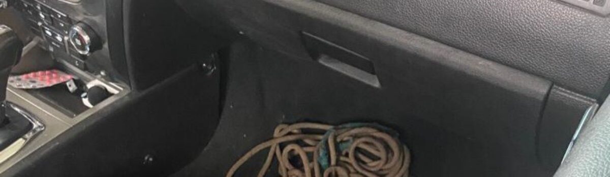 Especialista em furtos a comércio é preso em Uruaçu