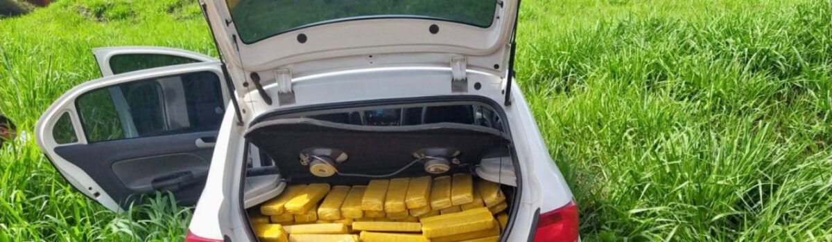 PCGO e PRF apreendem meio milhão de reais em droga, no sudoeste goiano
