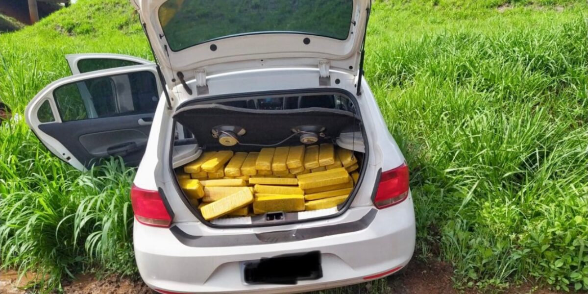 PCGO e PRF apreendem meio milhão de reais em droga, no sudoeste goiano