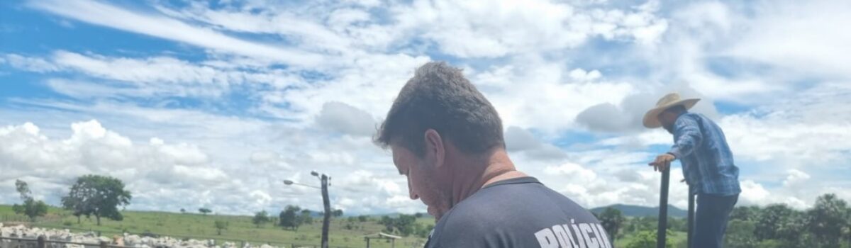 PCGO recupera R$ 600 mil em gado furtado, em Itapirapuã