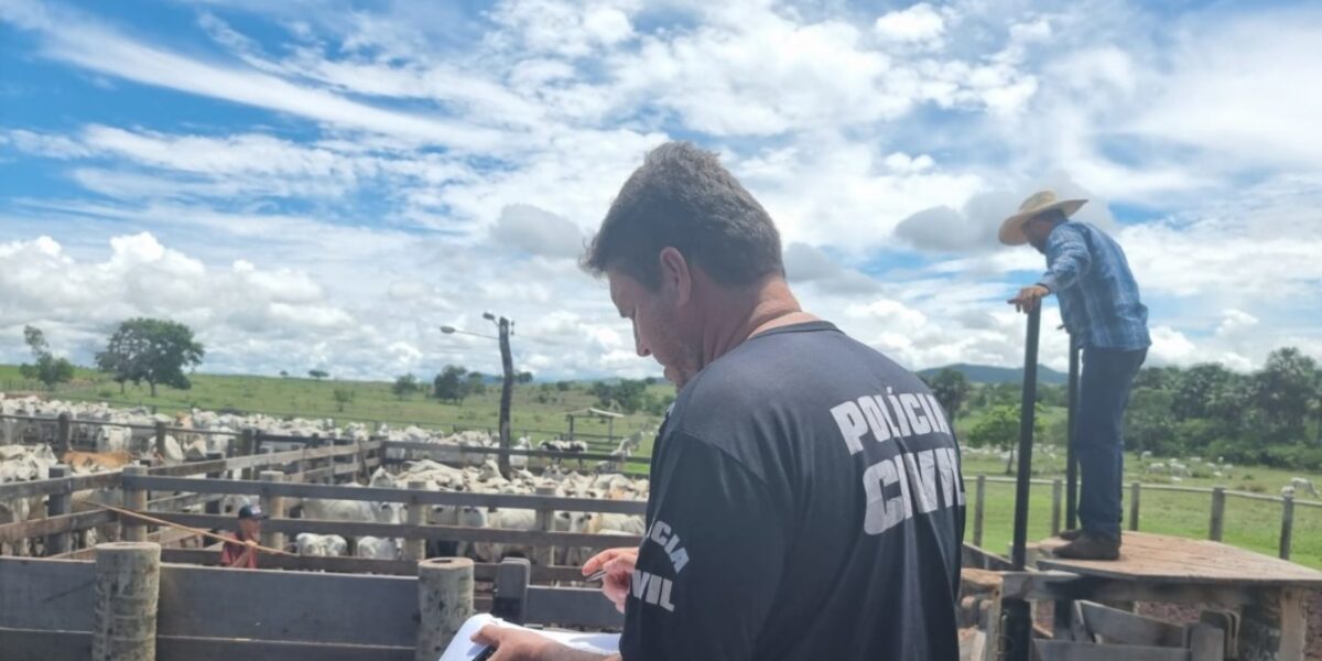 PCGO recupera R$ 600 mil em gado furtado, em Itapirapuã