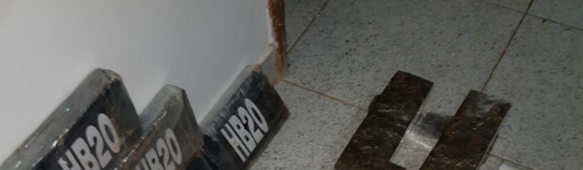PC e PM apreendem R$ 500 mil em drogas