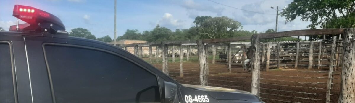 Projeto Polícia Civil em Números