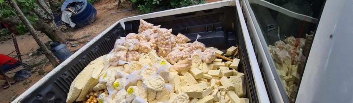 Operação em São Francisco de Goiás apreende quase 400 kg de queijo impróprio para consumo