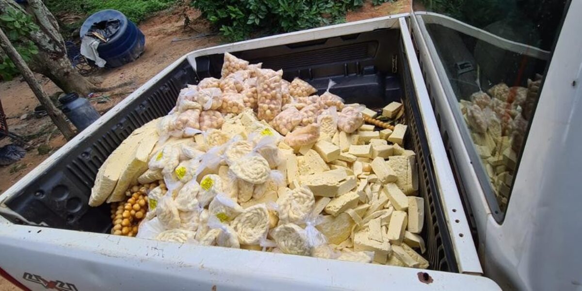 Operação em São Francisco de Goiás apreende quase 400 kg de queijo impróprio para consumo