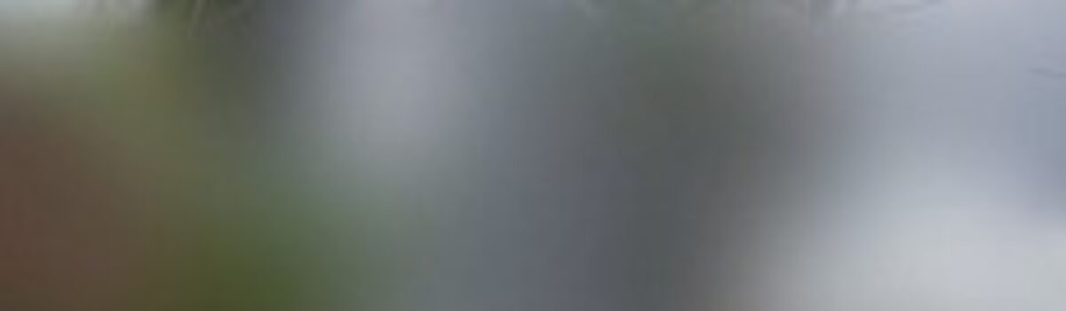 Polícia Civil resgata mulher e prende companheiro que quebrou dentes da vítima, em Inhumas