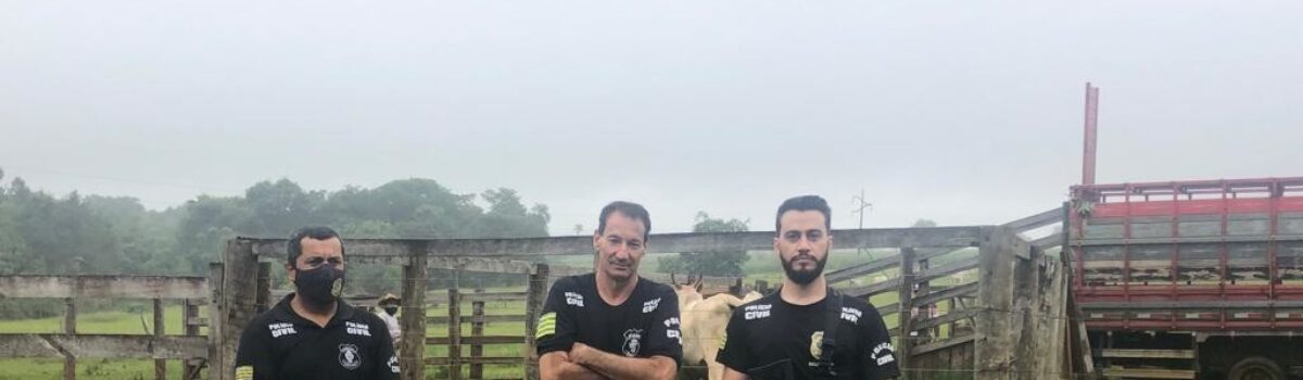 Ponto Focal Rural evita furto de gado em Iporá