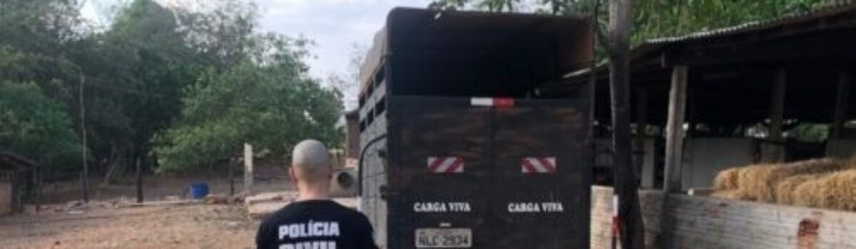 Operação Setentrional Goiano leva à condenação de 8 criminosos por furto e roubo de gado