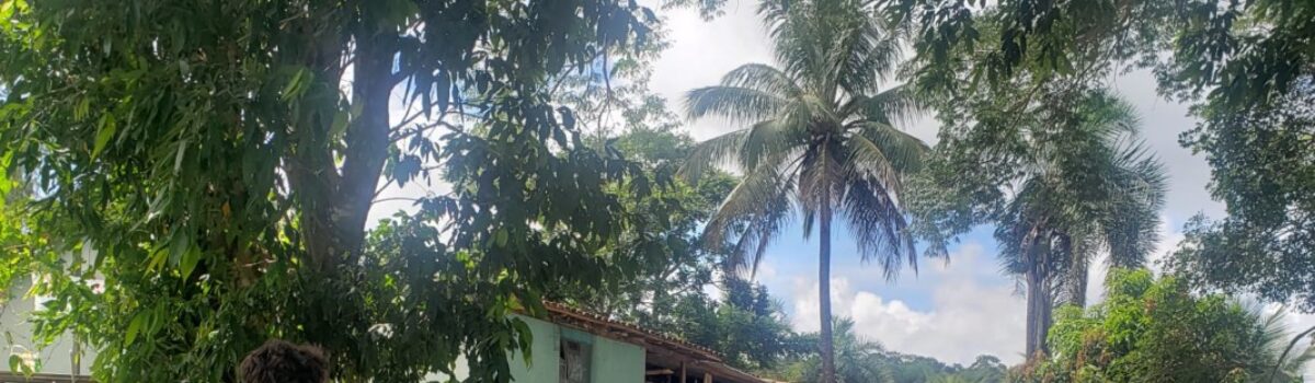 Coroa de Flores fase 2: PCGO deflagra operação contra fraudes à licitação no município de Goianésia