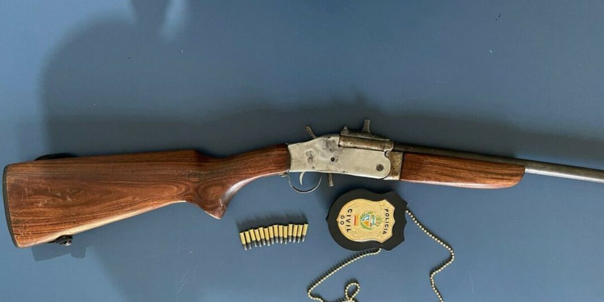 PCGO prende em flagrante homem por posse ilegal de arma de fogo, em Minaçu