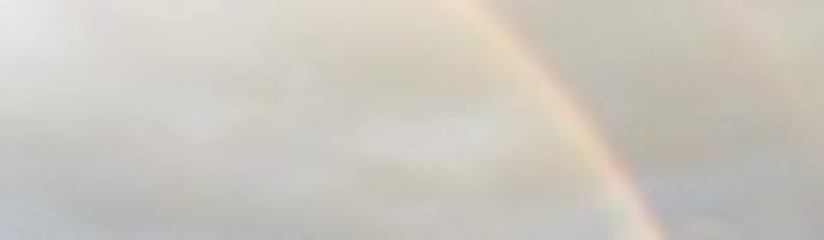 Operação integrada prende suspeito de matar caseiro a pauladas, em Barro Alto