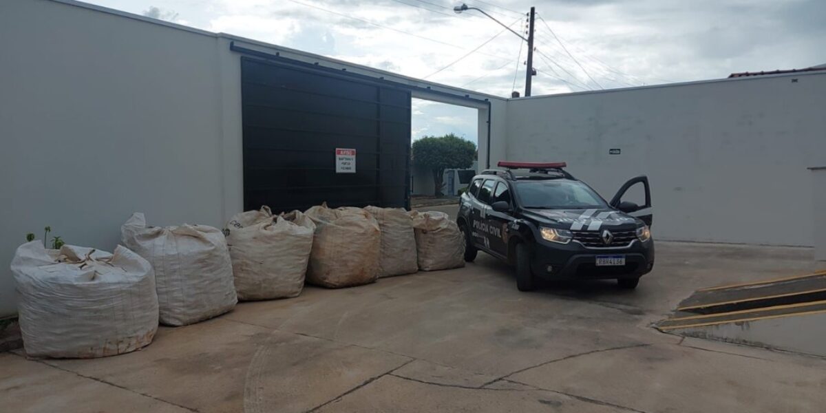 PC recupera recicláveis furtados de residência em Morrinhos