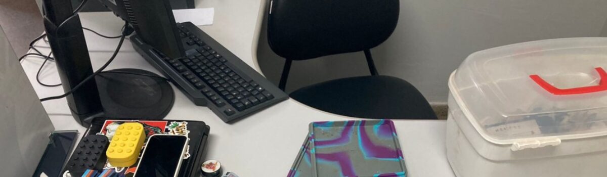 PCGO cumpre quatro mandados e segue desmantelando associação para tráfico em Goiânia