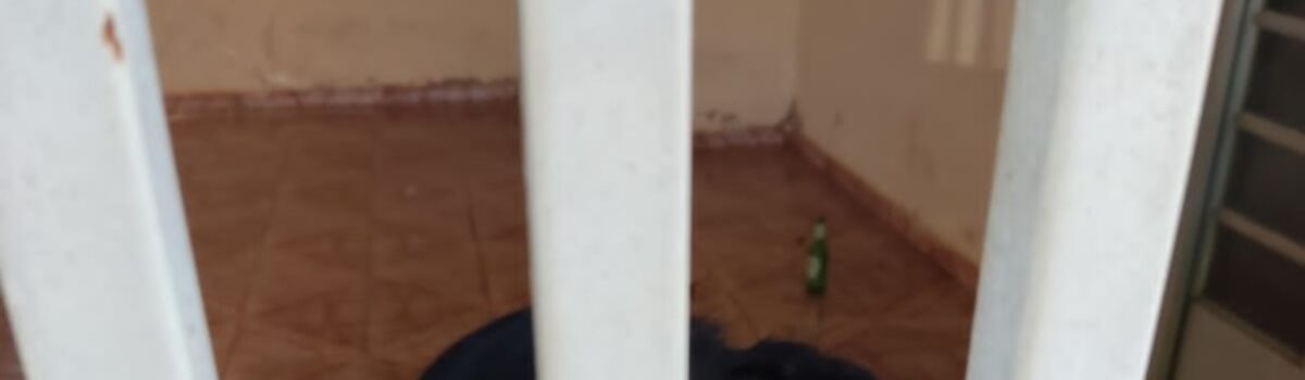 Mulher é presa em Iporá após mudar de casa e deixar cadela sem comida e água