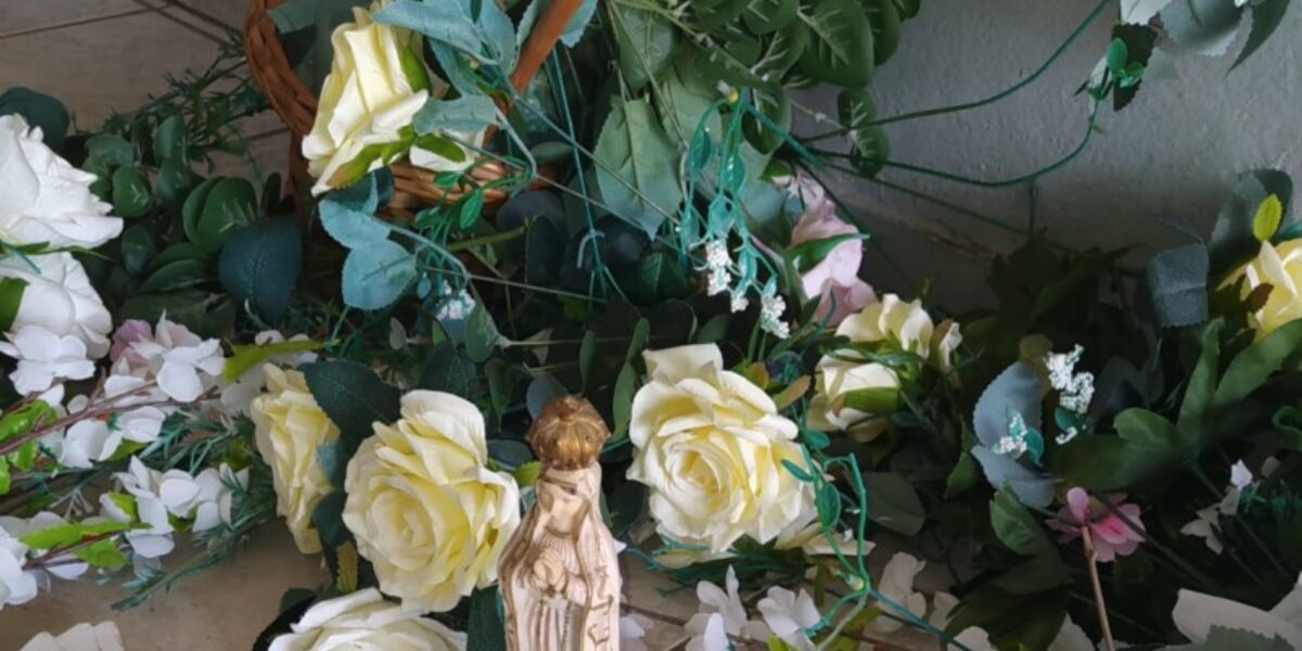 PC indicia investigado por furtar vasos de flores e outros itens de túmulos do cemitério de Uruaçu