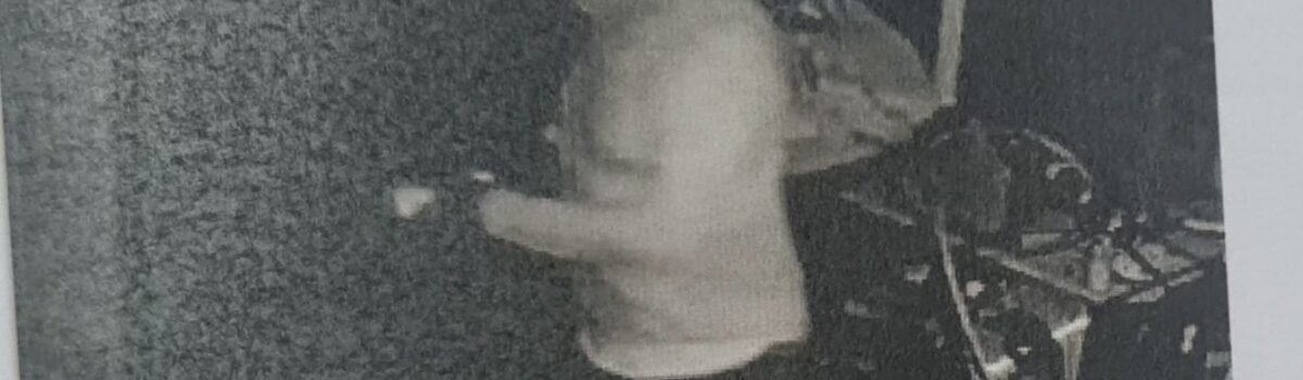 PCGO conclui investigações sobre série de furtos a estabelecimentos comerciais de Goianésia