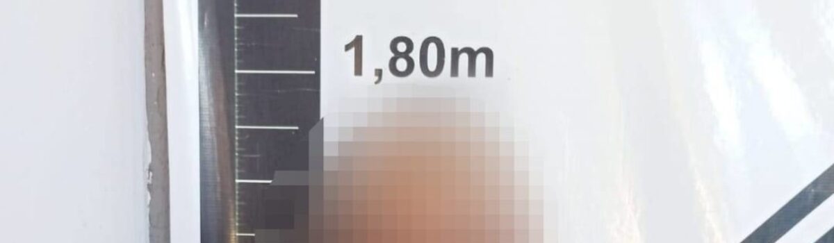 Suspeito de homicídio qualificado é preso em Goianésia