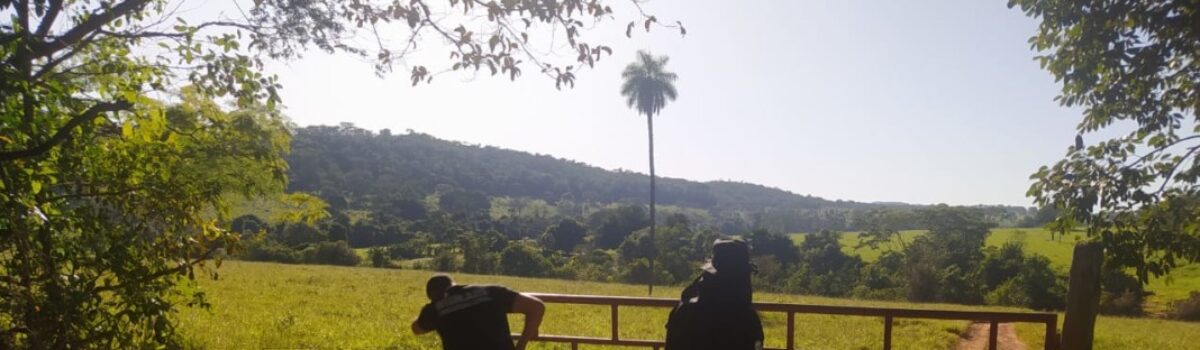 Operação Divisas: investigação de furto de semoventes leva à prisão de homem