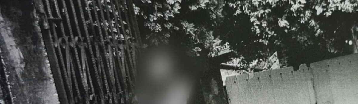 Investigado é preso por furtos a várias residências de Goianésia